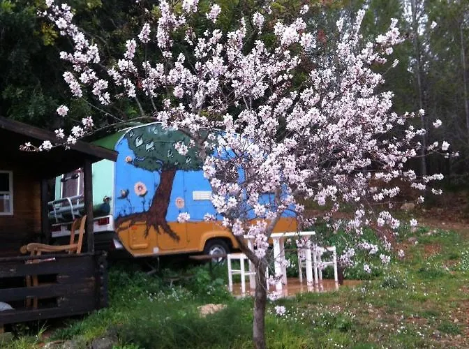 India En Casa Del Paso 샬레 *