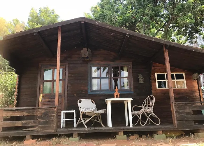 India En Casa Del Paso