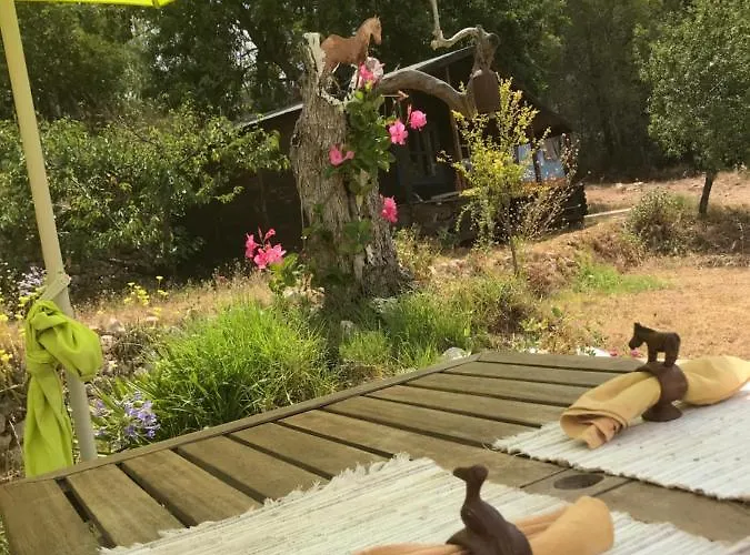 India En Casa Del Paso *