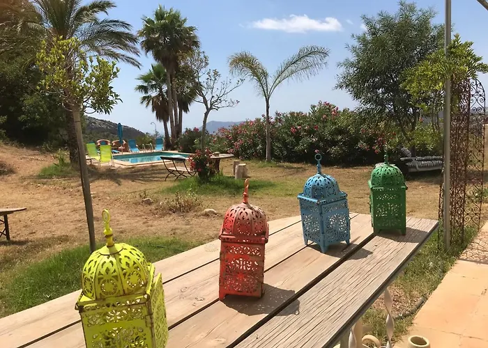 India En Casa Del Paso 알리칸테