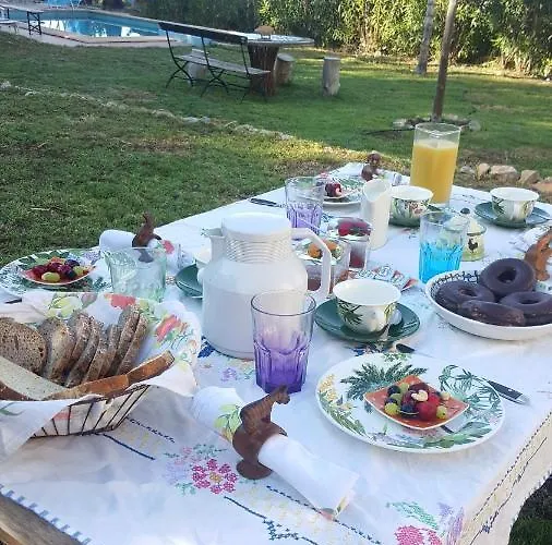 India En Casa Del Paso