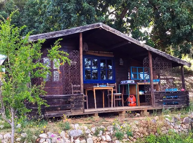 India En Casa Del Paso * 알리칸테