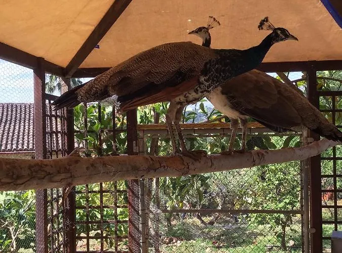 India En Casa Del Paso 샬레