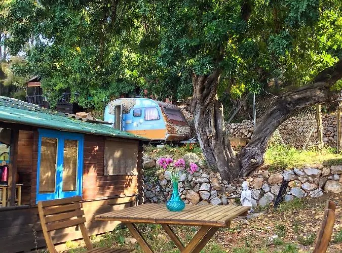 India En Casa Del Paso 샬레 알리칸테