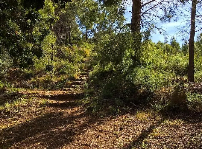 India En Casa Del Paso 알리칸테