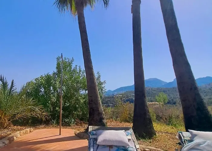 India En Casa Del Paso 샬레 알리칸테