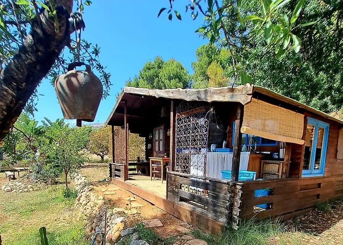 India En Casa Del Paso * 알리칸테