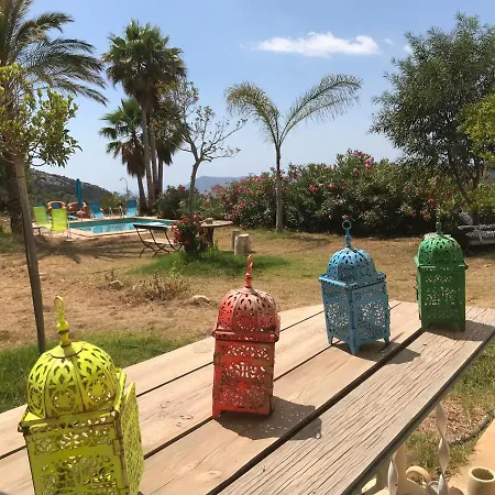 India En Casa Del Paso Alicante