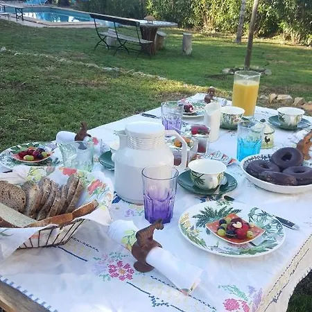 India En Casa Del Paso