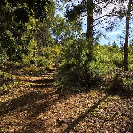 India En Casa Del Paso Alicante